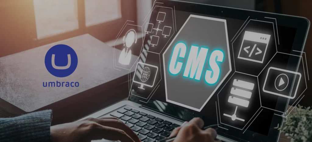 Custom .NET development